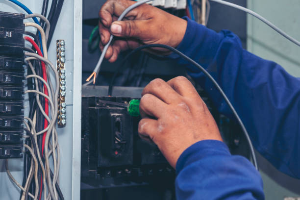 Best Licensed Electrician  in Savanna, IL