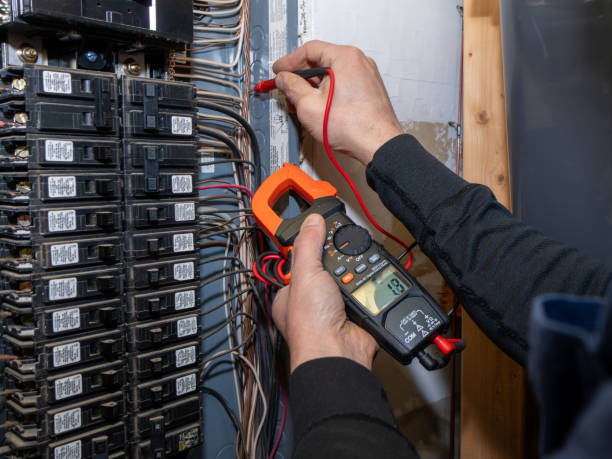 Best Licensed Electrician  in Savanna, IL